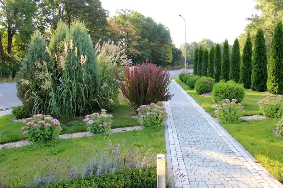 Affordable Landscape Maintenance San Jacinto, CA Affordable Landscape Maintenance San Jacinto, CA