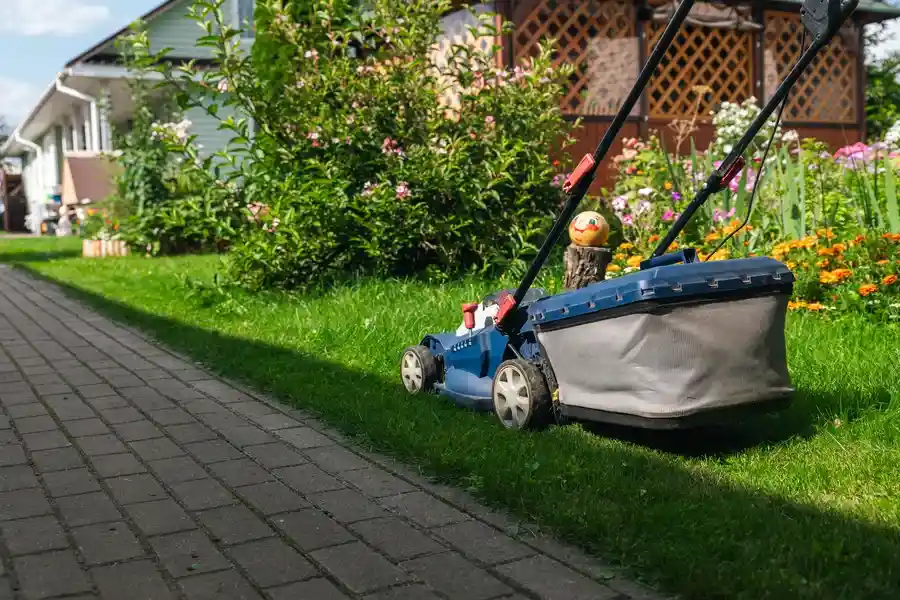 Expert Landscape Maintenance San Jacinto, CA Expert Landscape Maintenance San Jacinto, CA