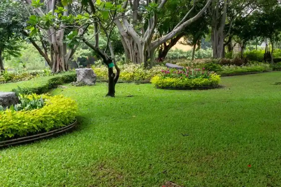 Professional Landscape Maintenance San Jacinto, CA Professional Landscape Maintenance San Jacinto, CA