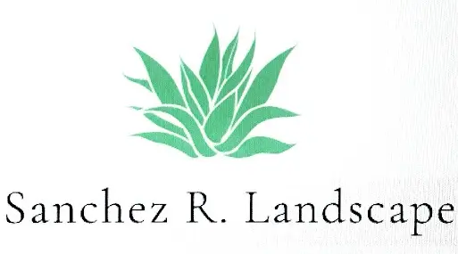 Sanchez R Landscape