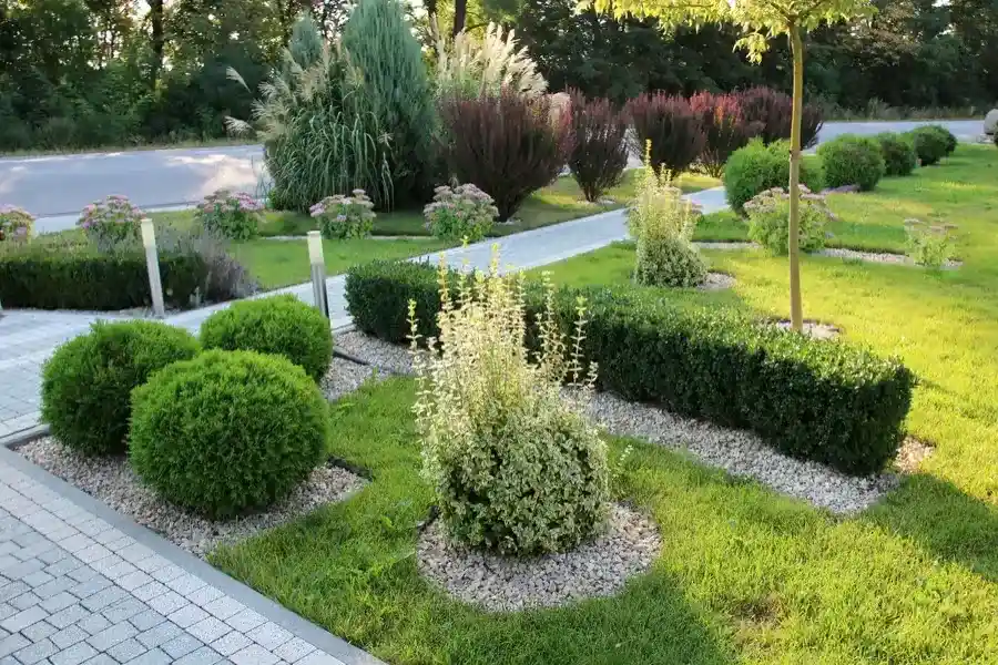 The Role Of Seasonal Landscape Maintenance Tasks in San Jacinto, CA The Role Of Seasonal Landscape Maintenance Tasks in San Jacinto, CA