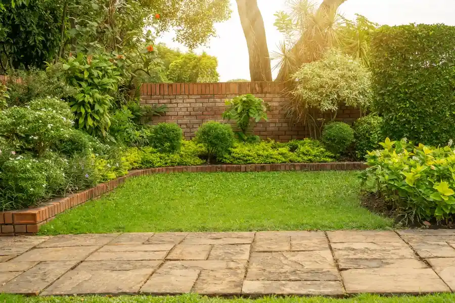 Understanding The Benefits Of Professional Lawn Care in San Jacinto, CA Understanding The Benefits Of Professional Lawn Care in San Jacinto, CA